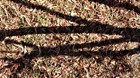 Short Things 的图像结果