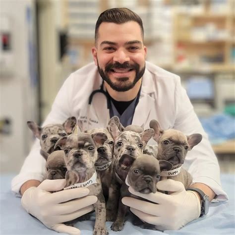 Meet the Team | Veterinarian in San Pedro, CA | Ace Animal Hospital
