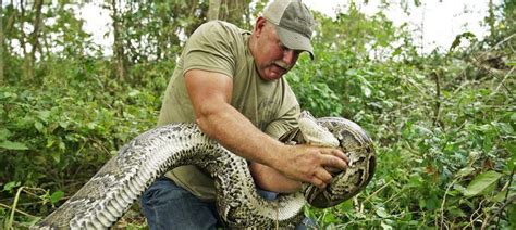 Image result for Florida Burmese Python Hunters