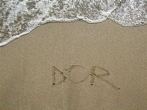 Image result for Dor Pascal