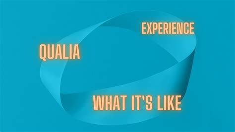 Image result for Qualia Explained