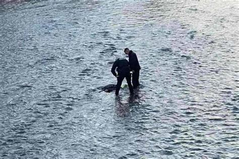 U rijeci Miljacki pronađeno beživotno tijelo osobe – Hercegovina.in