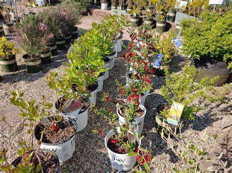 GREEN'S FEED & SEED - 314 Piedmont Rd, Charleston WV - Hours ...