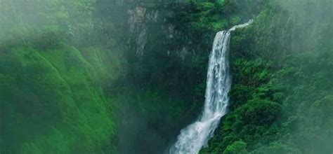 10 Gorgeous Waterfalls Near Mumbai Perfect for September Day Trips