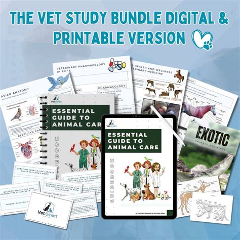 Image result for Vet Tutorial