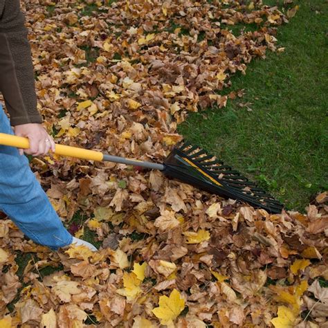 True Temper 30-in Poly Lawn and Leaf Rake with Wood Handle 2913951 at ...
