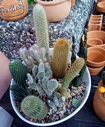 Secret Garden: Proverbs of happiness in 2018 (LC EMPOWER YOUR LIFE ...