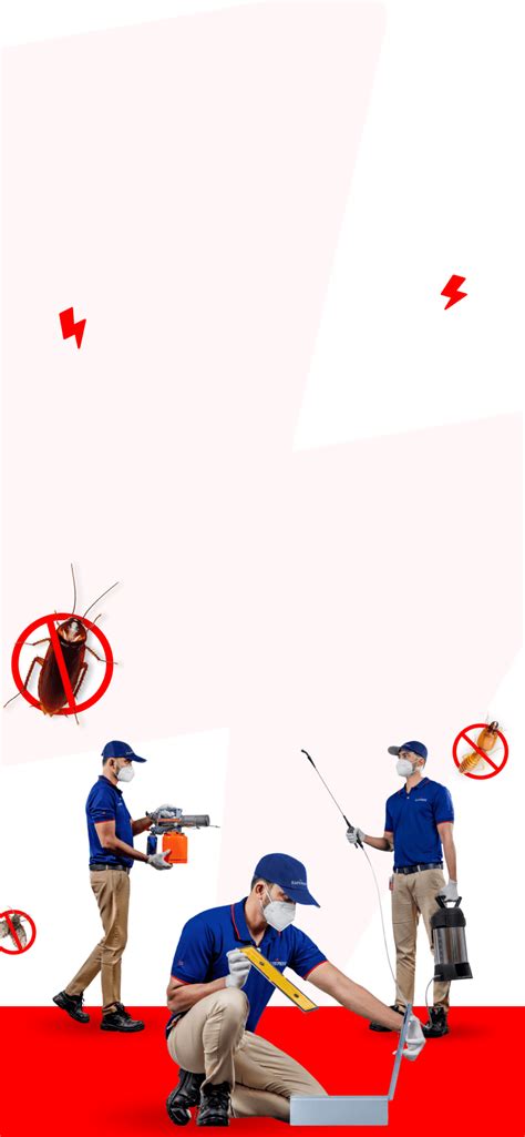 Pest Control Services in Chennai | Termite Control Chennai, Tamil Nadu