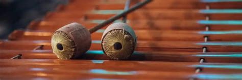 Image result for percussion instruments