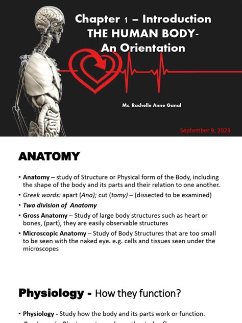 Image result for Chapter 1 Study Guide