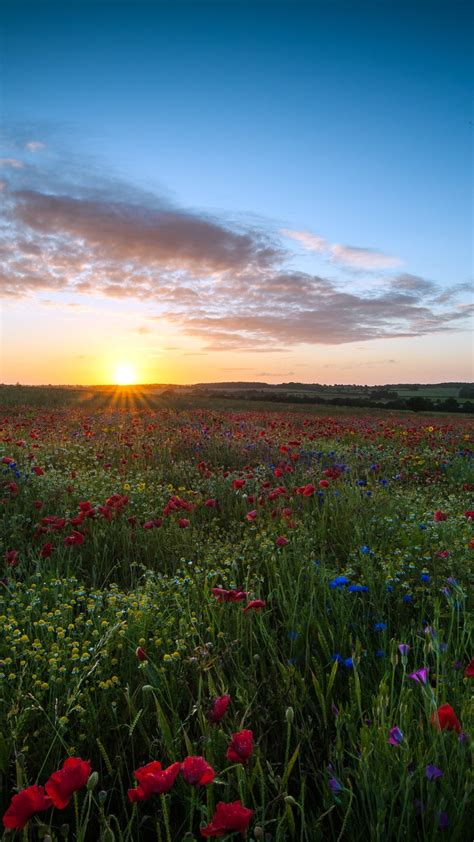 Landscape Computer Desktop 的图像结果