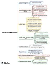 Mind Map: Lifestyle management and Endocrine system - Physical ...