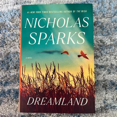 Nicholas Sparks Dreamland paperback book... | Depop
