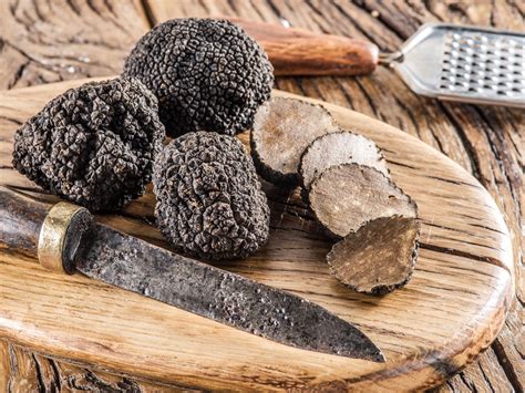 Guide to truffle hunting in Croatia - Šimuni