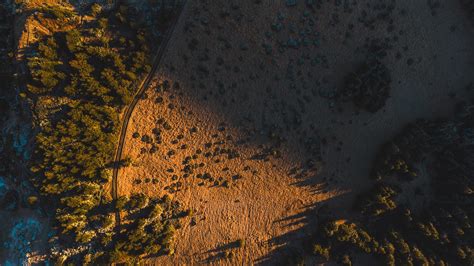 “The Interlopers”: A story by Saki