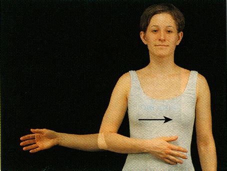 Image result for Rotation Joint Movement