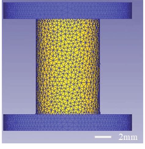 Finite-Element Simulation 的图像结果