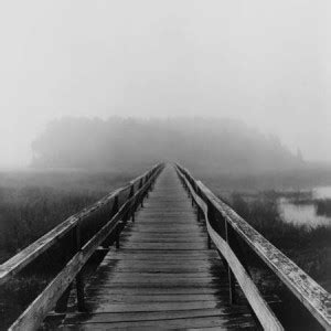 Misty Walk - Cape Cod Fine Art Print - Reid Yalom posters - Art ...