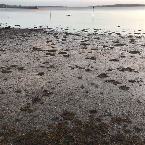 Image result for Refraction Tutorial