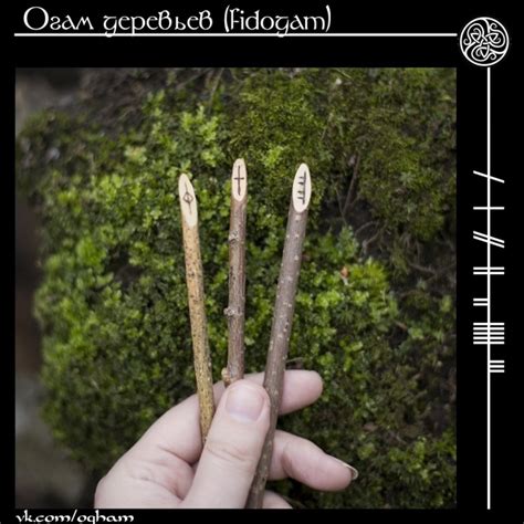 Семья Форфэды Огама Деревьев (дополнительные буквы, дифтонги) Éa ...