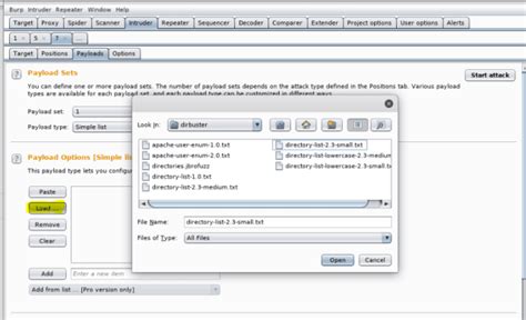 Dictionary Attack Tutorial 的图像结果