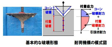 Image result for ComputerB Sciene MySQL