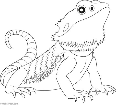 Bearded Dragon Coloring Pages