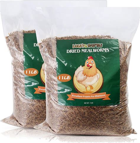 LuckyQworms Dried Mealworms, High-Protein Bulk India | Ubuy