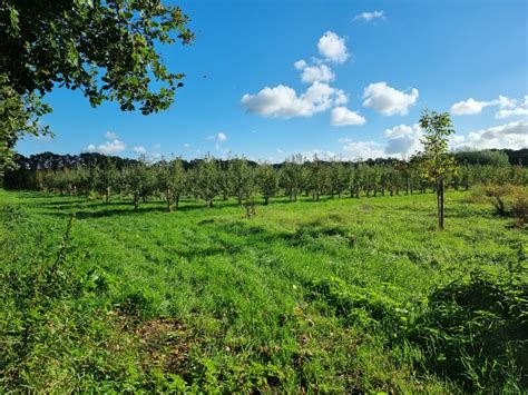 Herenboeren - Samen duurzaam voedsel produceren - Ervaringen - Algemene ...