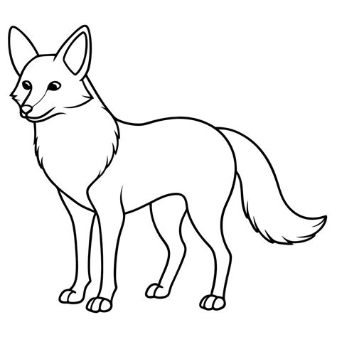Jackal outline coloring book vector illustration | Premium AI-generated ...