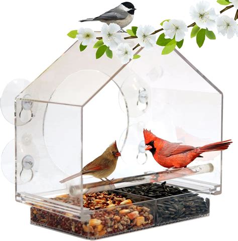 Amazon.com : Nature Anywhere Clear Plastic Window Bird Feeder with ...
