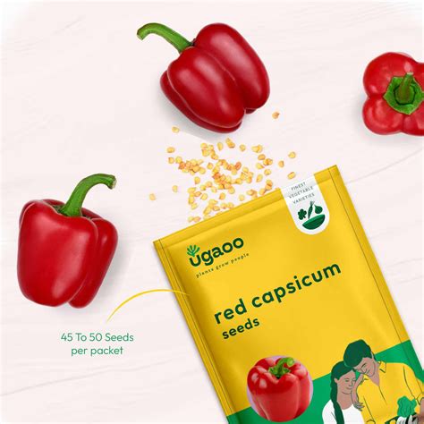 Buy Vegetable Seeds for Home Garden in India | Grow Fresh Produce at ...