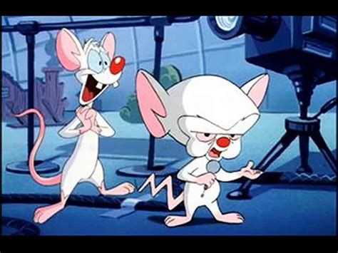 Pinky And The Brain Videos