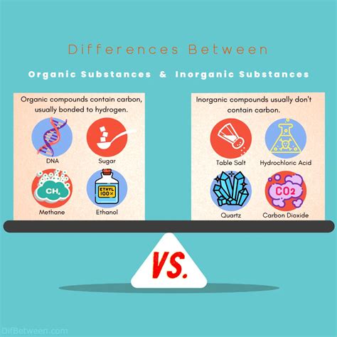 Organic vs Inorganic Substances: Understanding the Differences