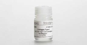 Angiogenesis Research Process in Cancer | Research, Resources, and ...
