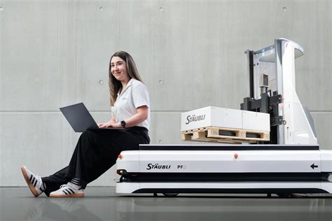 Staubli Tutorial 的图像结果