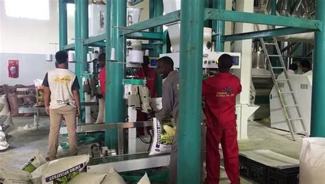 Image result for Maize Processing