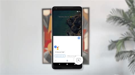 Google Visual Search 的图像结果