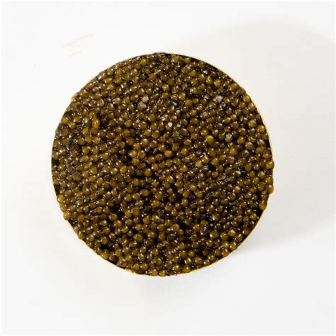 Russian Beluga Caviar | Farm Raised | Caviar Emporium