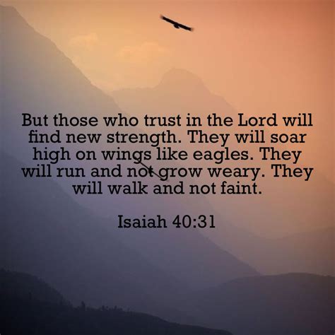 Isaiah 40 31 but those who hope in the lord will renew their strength ...