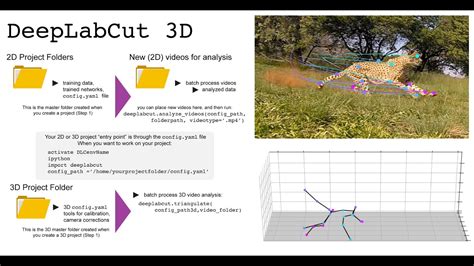 Image result for Deeplabcut New Project Tutorial