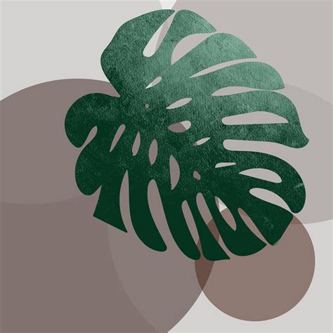 Slideshow Background 的图像结果