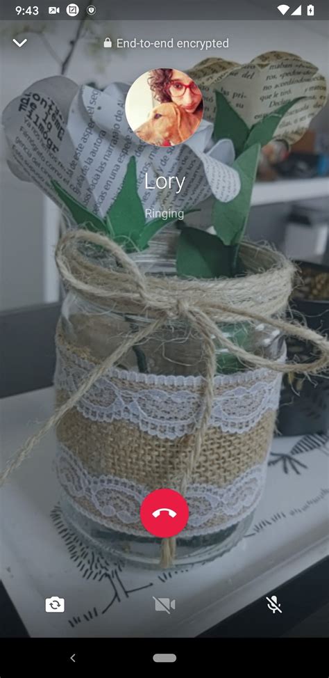 Image result for Whatsapp Android Chat Download