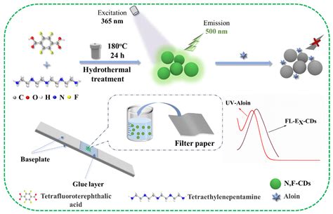 Sensitive and Facile Detection of Aloin via N,F-CD-Coated Test Strips ...