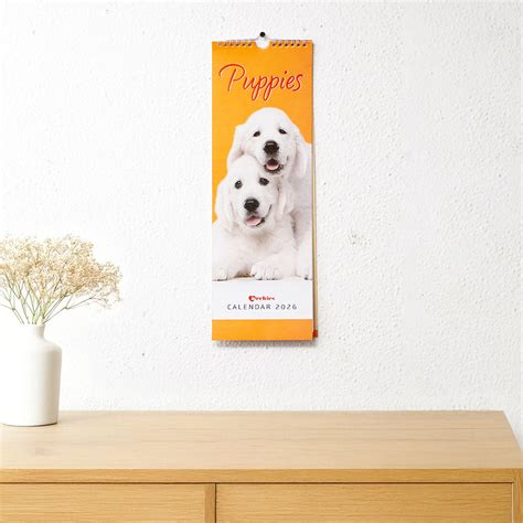 Floral 2026 Desk Calendar with Envelope | Shop Online at Archies