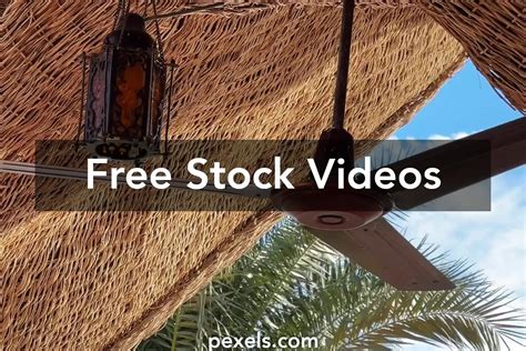 Rapunzel Multilanguage Clips 的图像结果