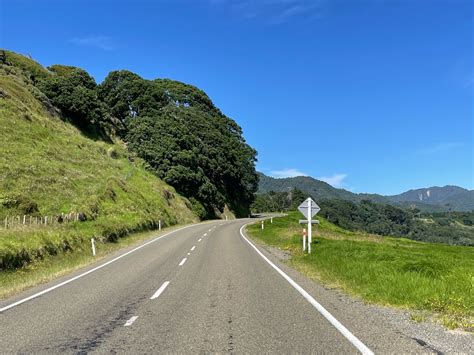 Image result for Exploding Whale Meme