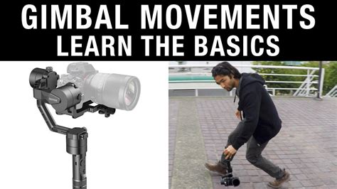 Gimbal Tutorial 的图像结果