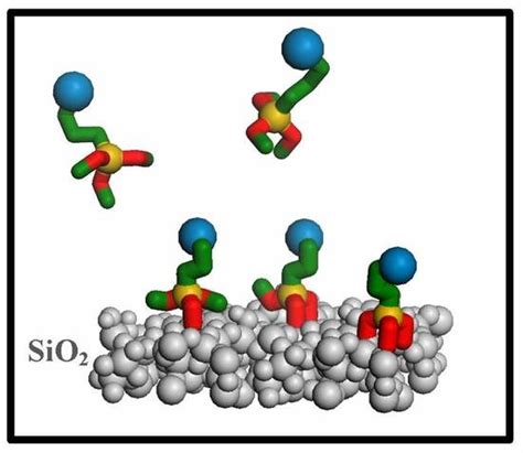 Influence of Silicodactyly in the Preparation of Hybrid Materials