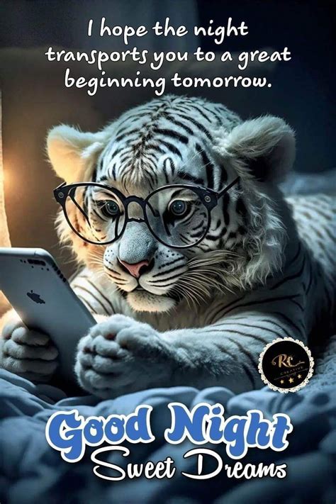 Good Night Funny Quotes